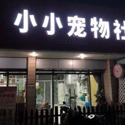 皓琦宠物:上海城区浦东新区世博园附近