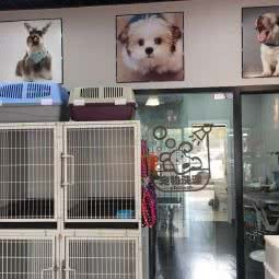 宠心宠意宠物店:上海城区浦东新区世博园附近