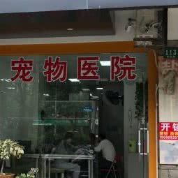 仁济宠物医院:上海城区浦东新区世博园附近