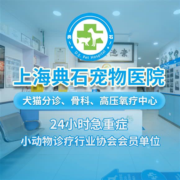 典石宠物医院·疑难骨科·外科·综合内科·猫友好医院(三林分院):上海城区浦东新区世博园附近