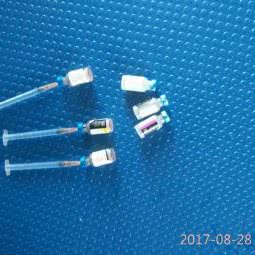 犬心犬意:上海城区浦东新区滴水湖临港地区附近