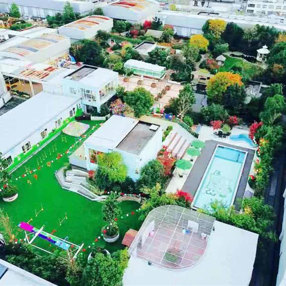 汪说喵讲宠物乐园宠物酒店:上海城区浦东新区御桥附近