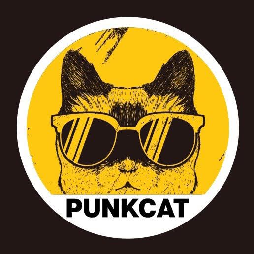 庞克猫宠物:上海城区浦东新区御桥附近