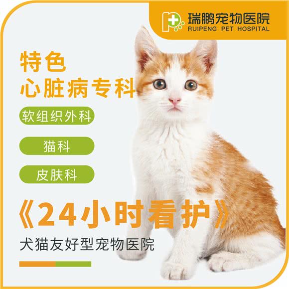 瑞鹏宠物医院(御桥分院):上海城区浦东新区御桥附近