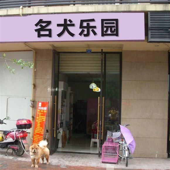 名犬乐园:上海城区浦东新区江镇附近