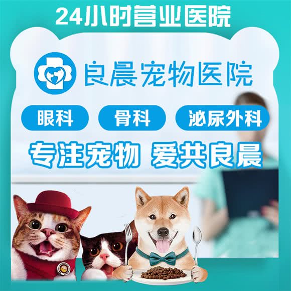 良晨宠物诊所·骨科·内科·眼科:上海城区浦东新区花木附近