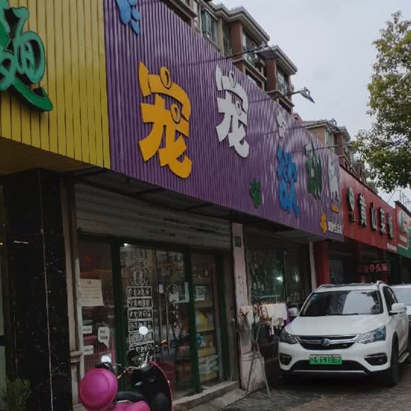 宠宠欲动:上海城区浦东新区浦东国际旅游度假区附近