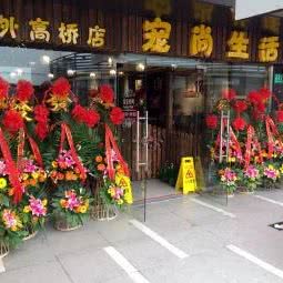 宠尚宠物(外高桥店):上海城区浦东新区高东/杨园附近