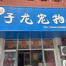 子龙宠物:上海城区金山区枫泾镇附近