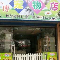 小傅宠物店:上海城区金山区金山卫附近
