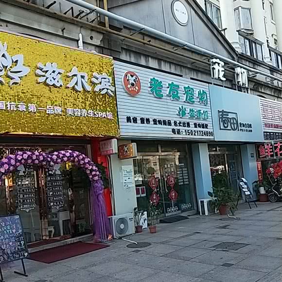 老友宠物:上海城区金山区金山卫附近