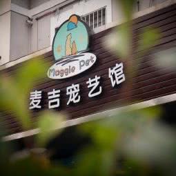 麦吉宠艺馆(卫清西路店):上海城区金山区金山卫附近
