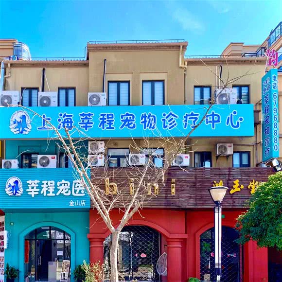 上海莘程宠物医院·24H急重症:上海城区金山区金山卫附近