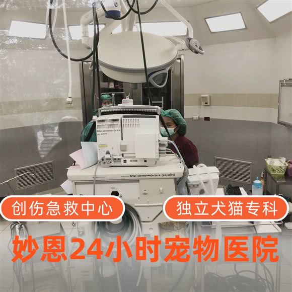 妙恩宠物诊所:上海城区金山区金山卫附近