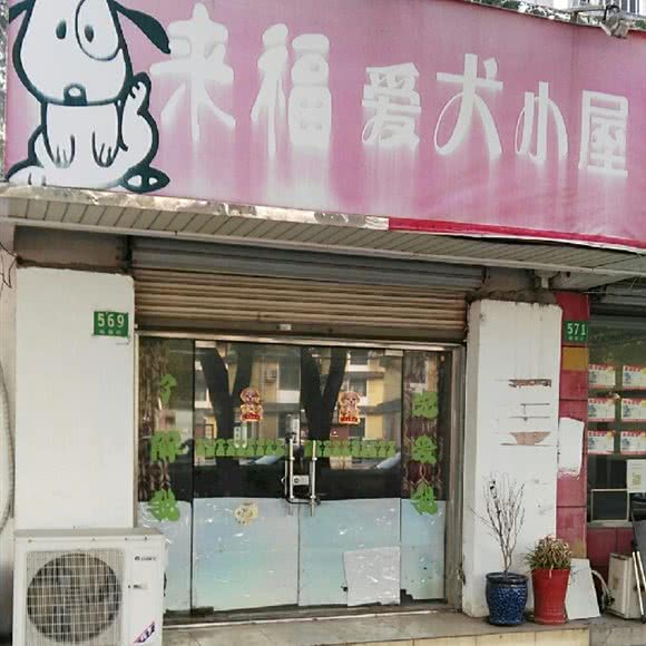 来福爱犬地下室:上海城区金山区朱泾镇附近