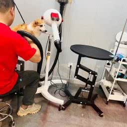 PETKIT 小佩宠物(郁金香庭店):上海城区金山区朱泾镇附近