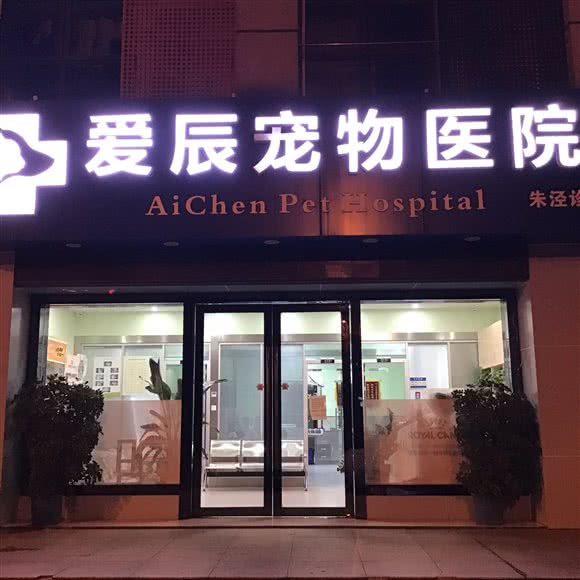爱辰宠物医院(朱泾分院):上海城区金山区朱泾镇附近