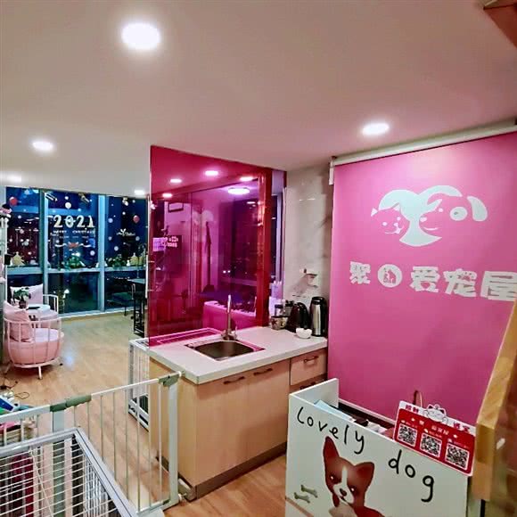 聚·爱宠屋:北京城区门头沟区门头沟区附近