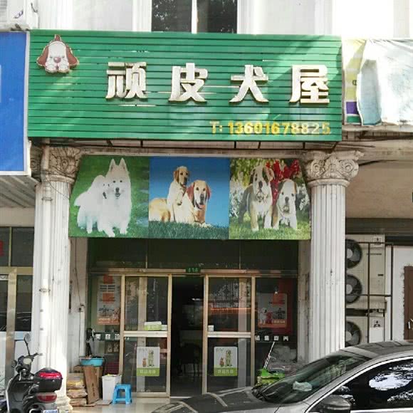 顽皮犬屋:上海城区金山区朱泾镇附近
