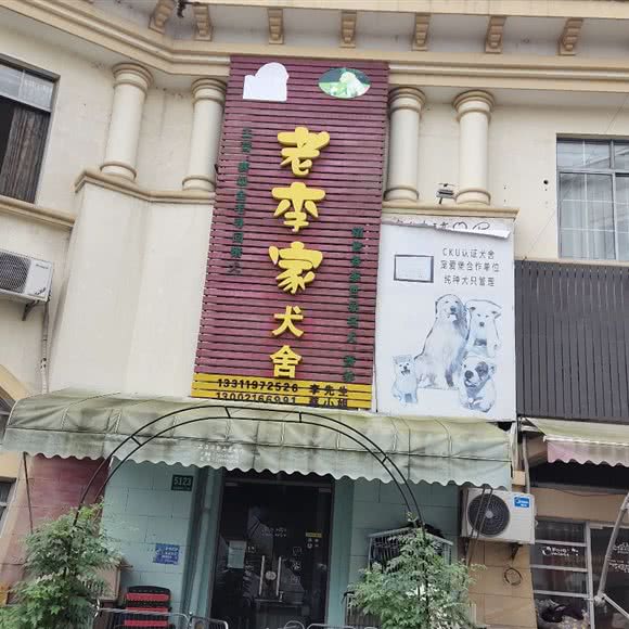 老李家犬舍:上海城区金山区朱泾镇附近
