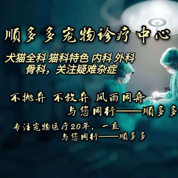 顺多多宠物诊疗中心·24s:上海城区金山区朱泾镇附近