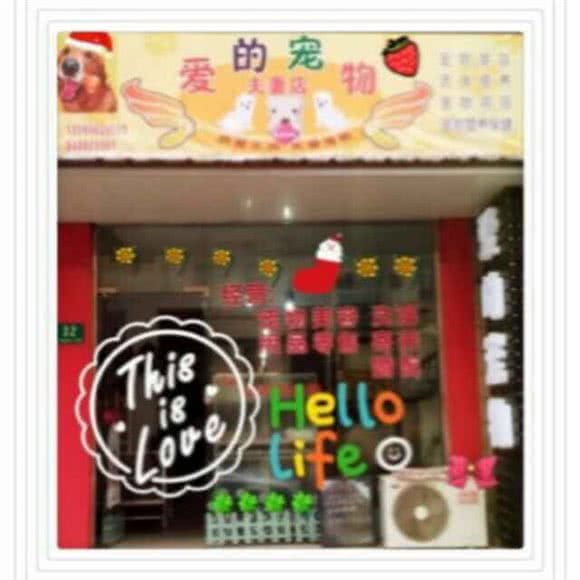 爱的宠物:上海城区金山区卫零路附近