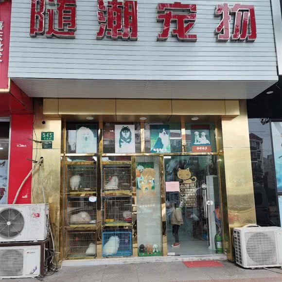 随潮宠物:上海城区金山区亭林镇附近