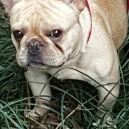 UnitjA 优妮特佳 爱宠购:上海城区金山区欧尚商业中心附近