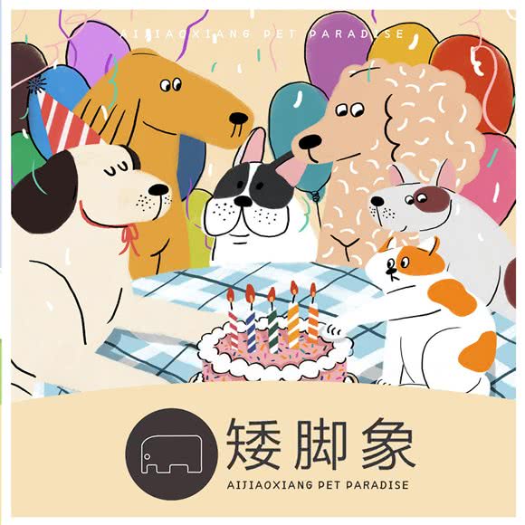 矮脚象宠物酒店:上海城区松江区松江大学城附近