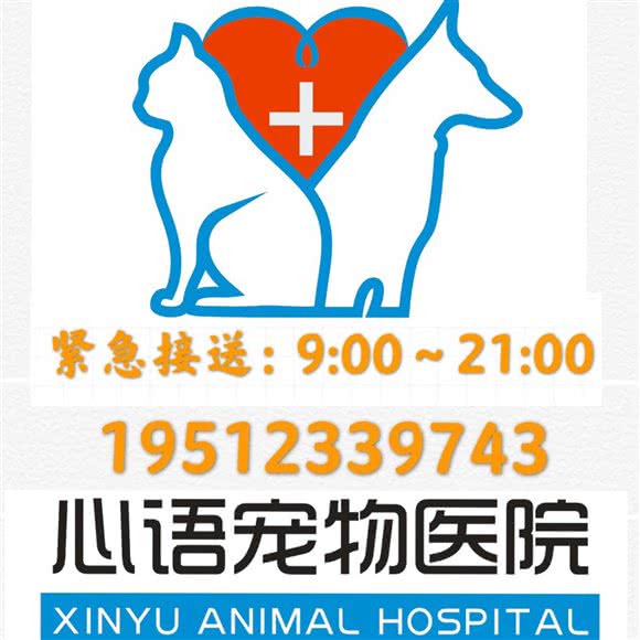 心语宠物医院·骨外科中心(梅家浜路店):上海城区松江区松江大学城附近