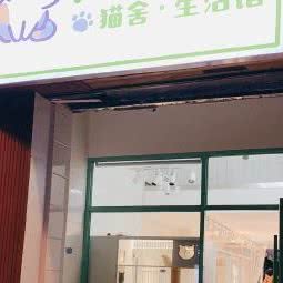 御猫阁猫舍生活馆:上海城区松江区松江万达广场附近