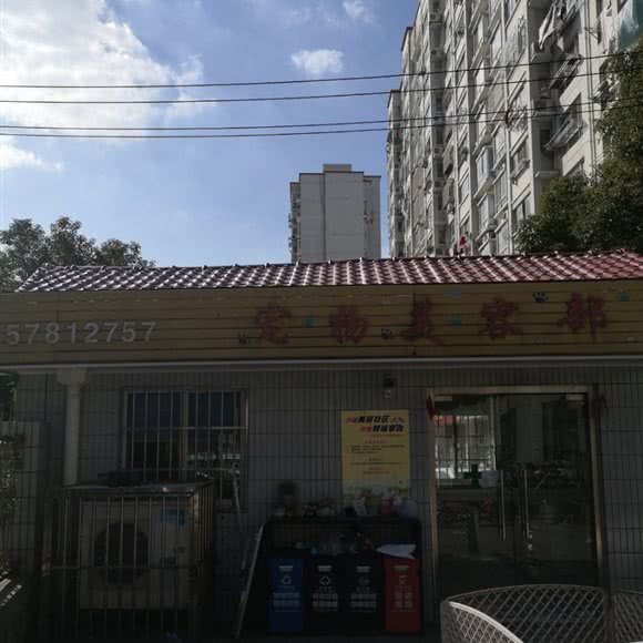 宠物美容部:上海城区松江区松江镇附近