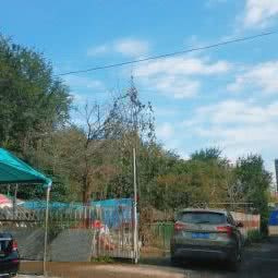 北京云峰犬业金毛皇宫:北京城区门头沟区门头沟区附近