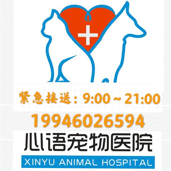 心语宠物医院·24小时急重诊:上海城区松江区松江镇附近