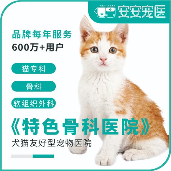 安安宠医狂犬免疫点:上海城区松江区九亭附近