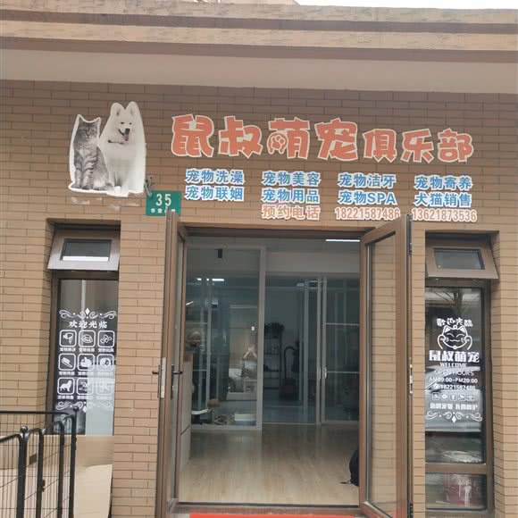 鼠叔萌宠俱乐部:上海城区松江区佘山附近