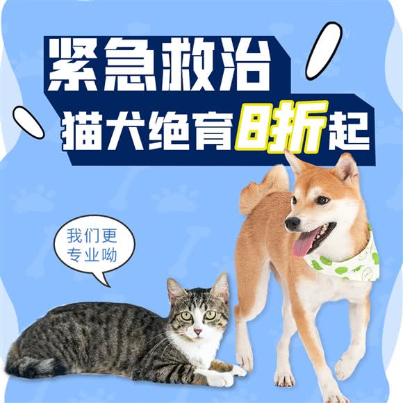 久爱久爱动物医院(24小时店):北京城区门头沟区门头沟区附近