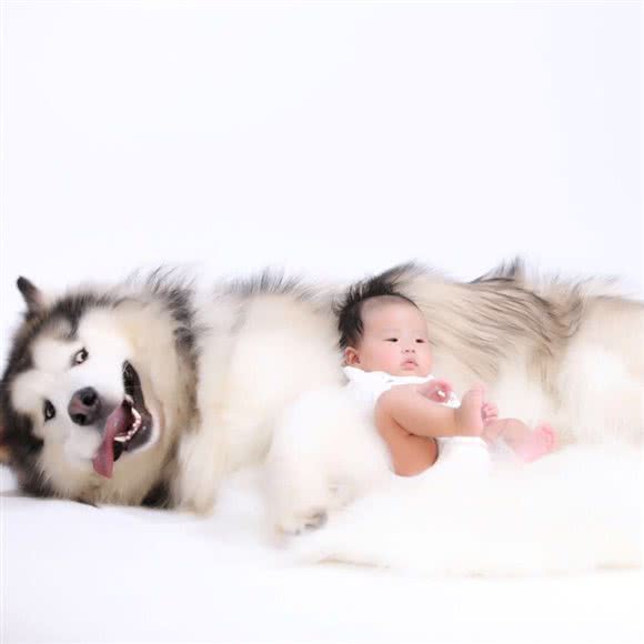 惜梦动物医院:北京城区门头沟区门头沟区附近