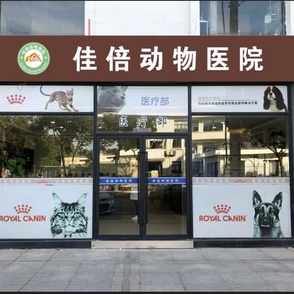 佳倍动物医院犬只狂犬病认定免疫点:上海城区松江区佘山附近