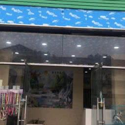 金麒麟宠物酒店:上海城区松江区新桥附近