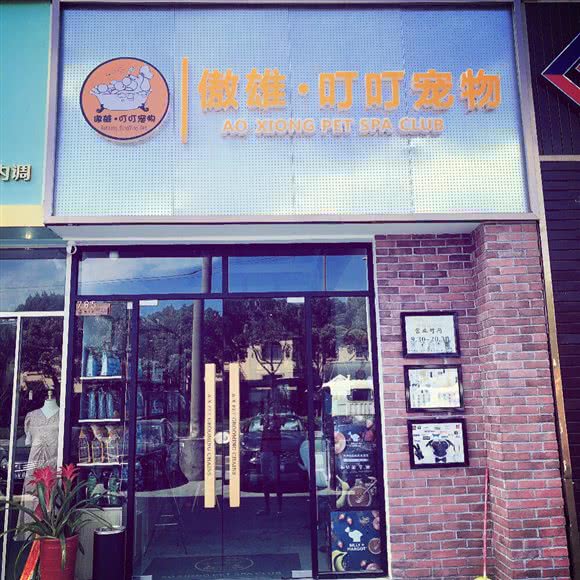 傲雄叮叮宠物店(明中路店):上海城区松江区新桥附近