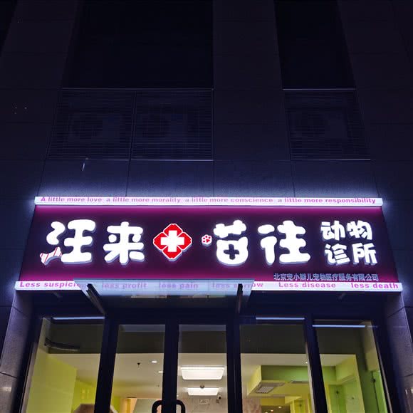 汪来喵往动物医院:北京城区门头沟区门头沟区附近
