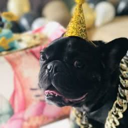 暖暖堂:上海城区松江区新桥附近