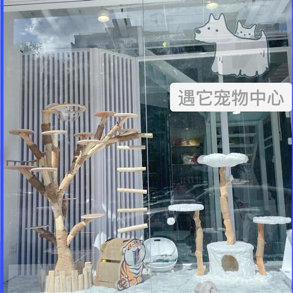 MP遇它宠物·寄养·名宠售卖(崇文门店):北京城区东城区崇文门附近