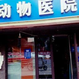 爱宠康动物医院:北京城区门头沟区门头沟区附近