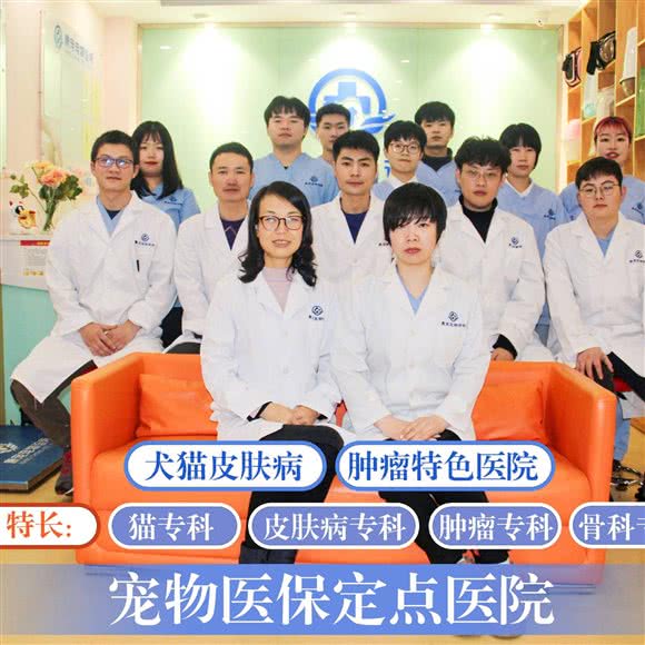 康宠宠物医院德悦路分院(皮·肤病特色中心):上海城区松江区泗泾镇附近