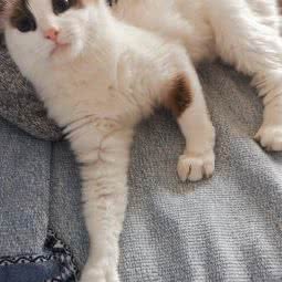 PETKIT小佩宠物(兴仓店):上海城区松江区飞航广场附近