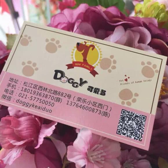 Doggy可爱多宠物店:上海城区松江区人民北路附近