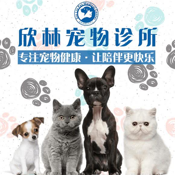 欣林宠物医院:上海城区青浦区朱家角/东方绿舟附近