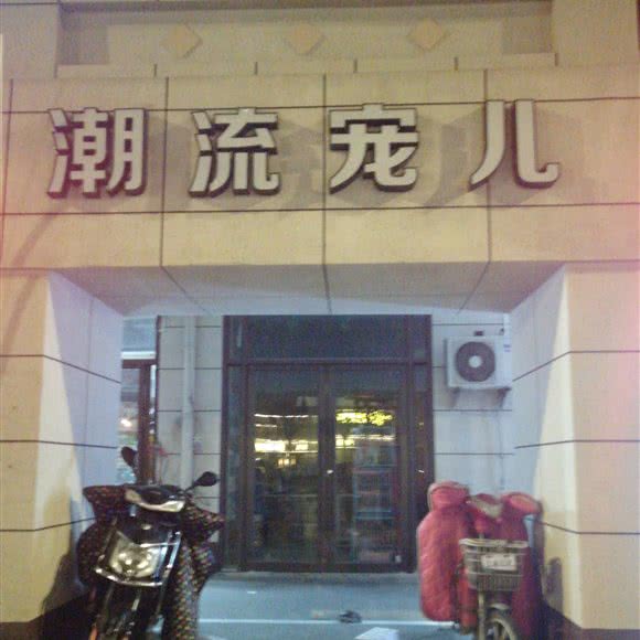 潮流宠儿:上海城区青浦区青浦城区附近